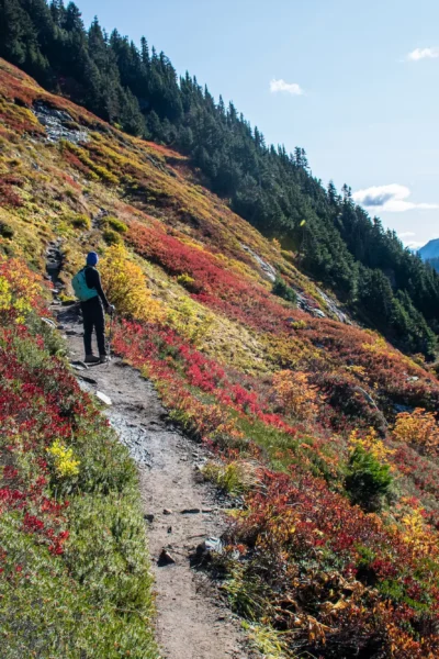 girl standing on a trail with fall colors in North Cascades