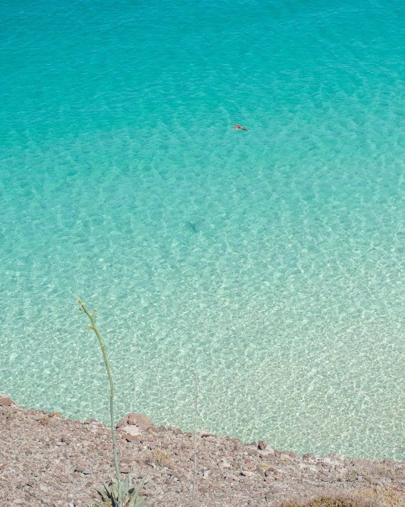 bright turquoise waters of Balandra Bay