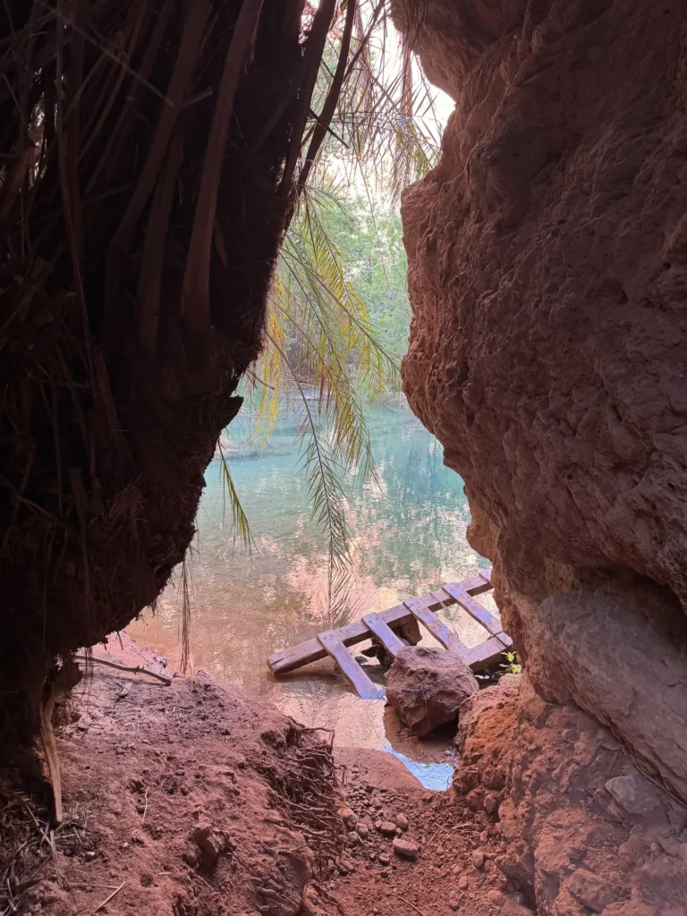 cave opening with ladder