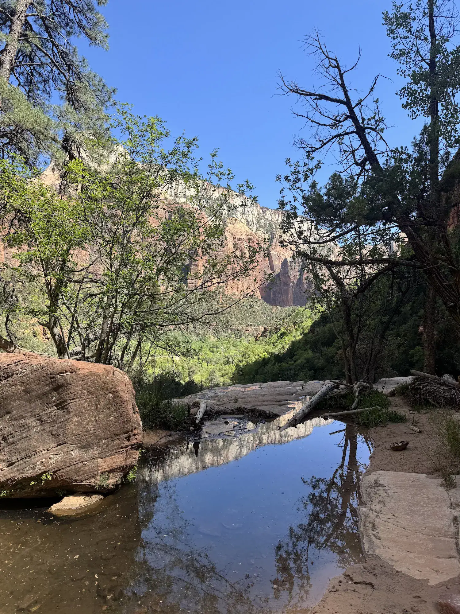 Middle pools on zion emerald pools trail