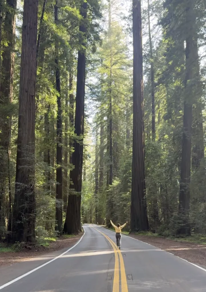 girl running on Avenue of the Giants