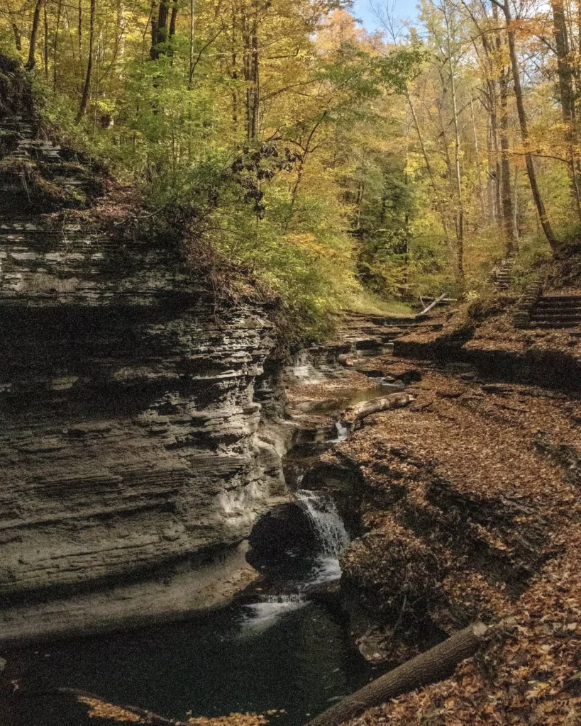 Fall at Gorge Trail