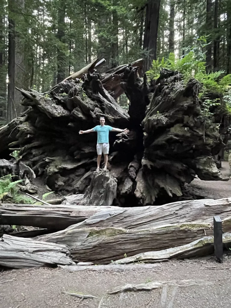 guy in front of tall redwood tree