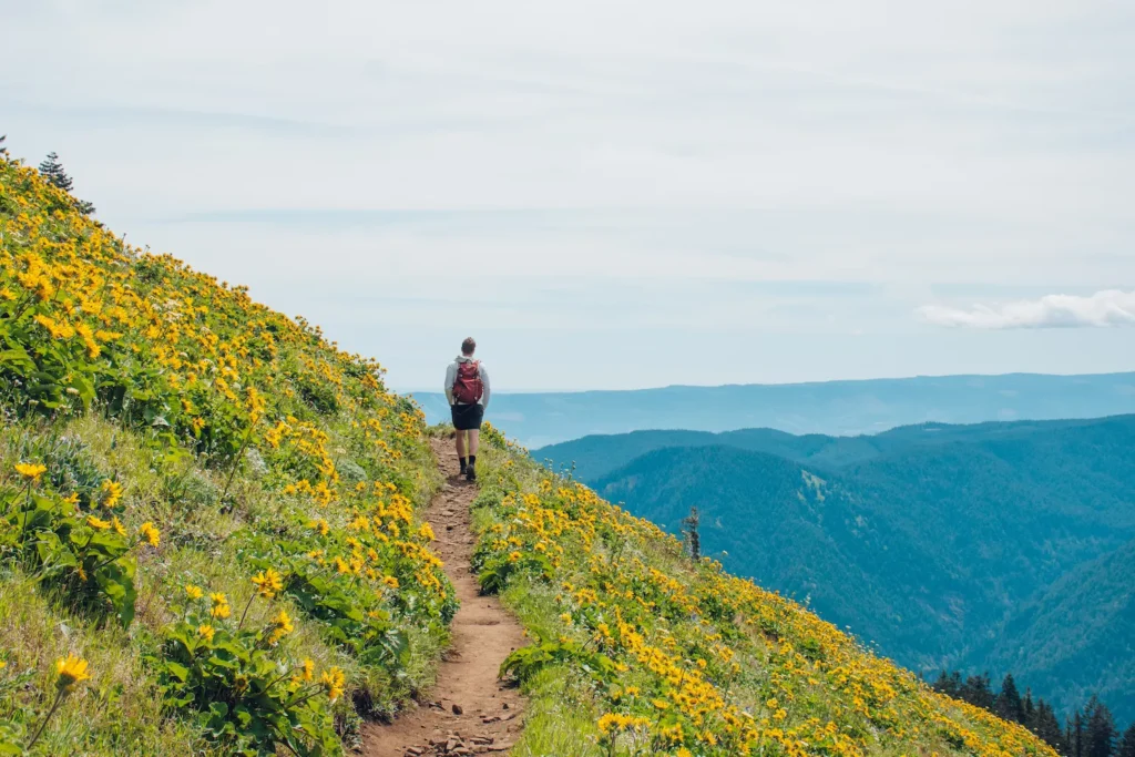 guy walking on a mountain with yellow wildflowers all around