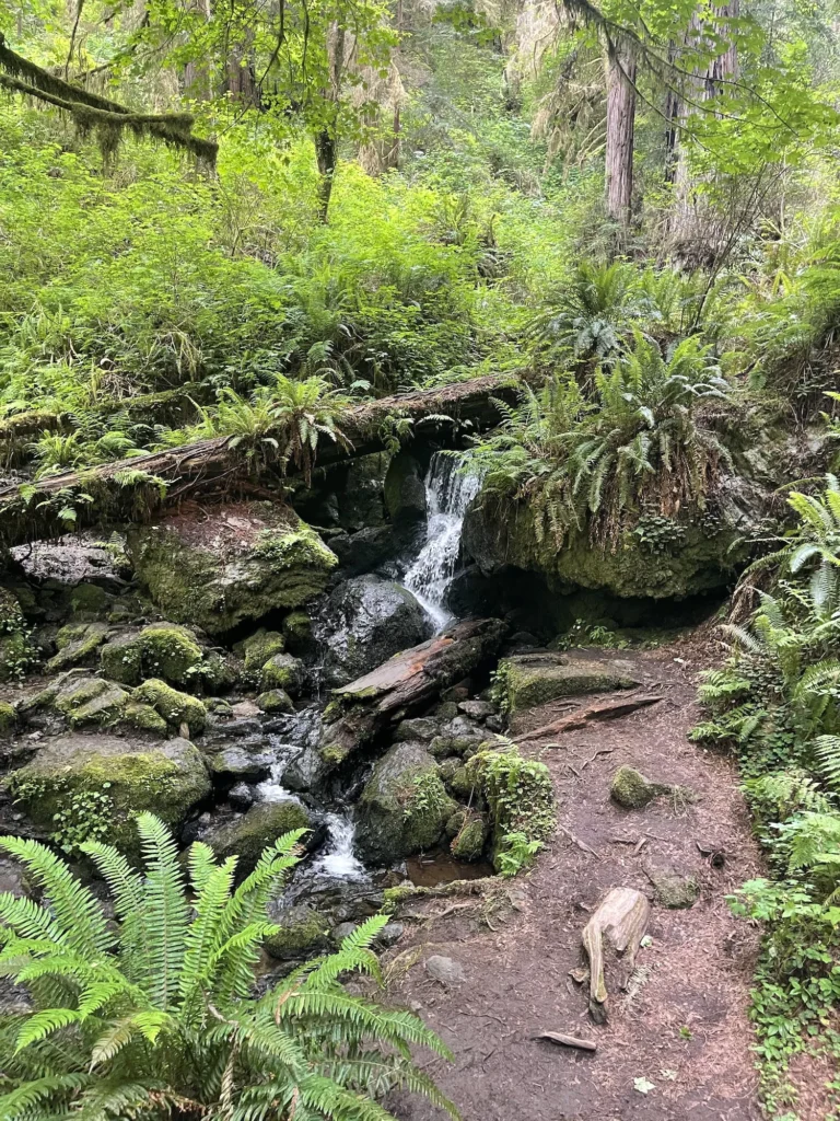 Trillium Falls