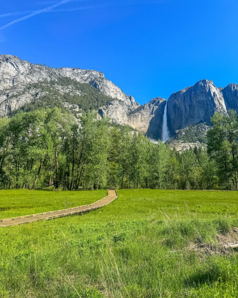 Wawona Meadow Loop