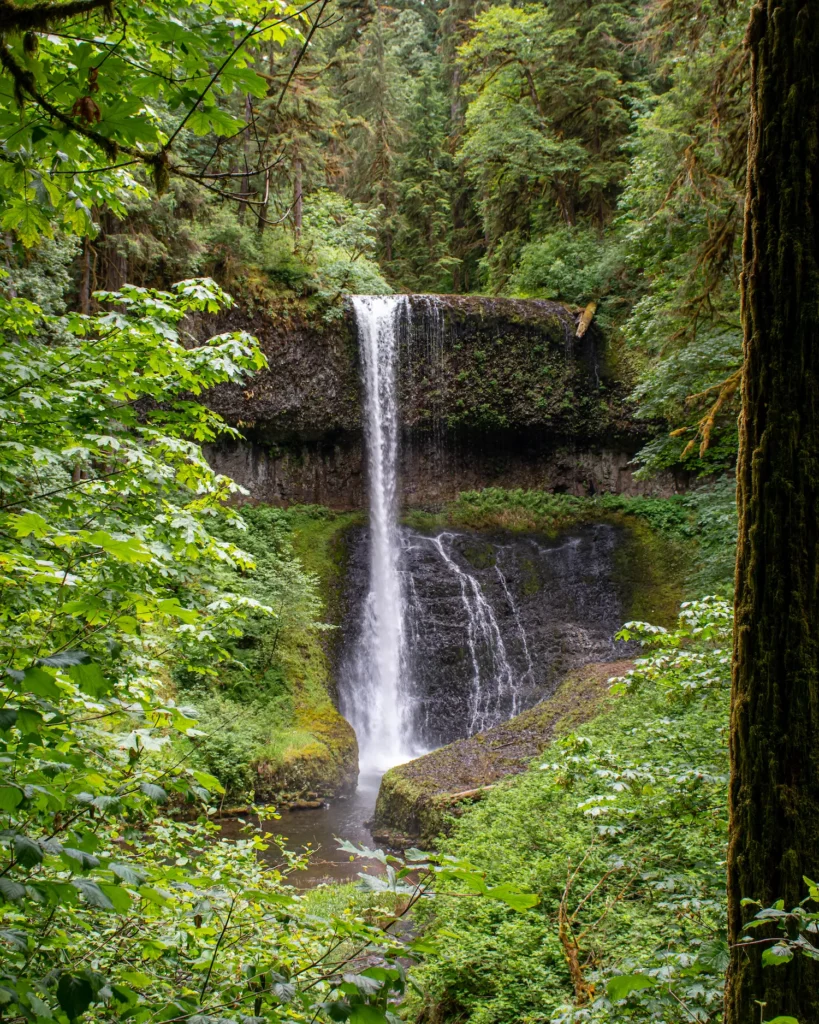 Middle North Falls with trees on the trail of ten falls trail