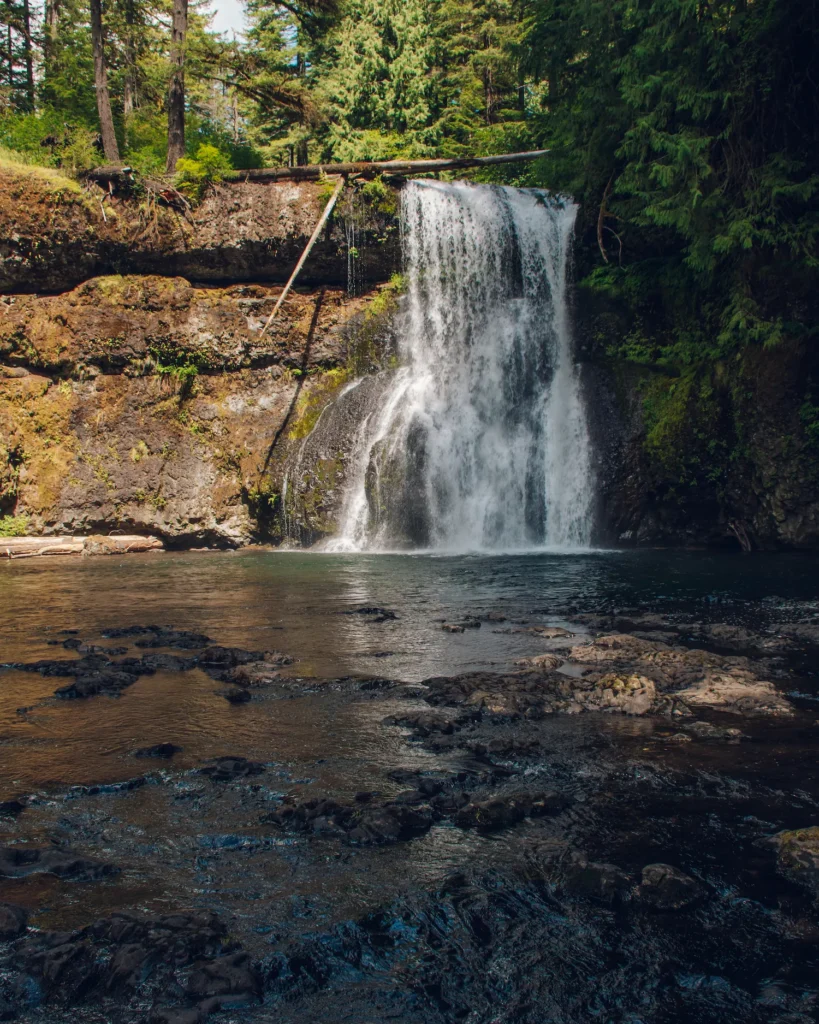 Upper North Falls in silver Falls state park