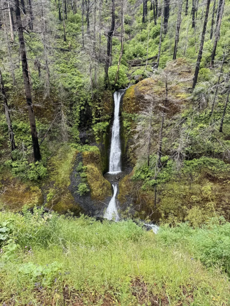 Waterfall falling into the creek
