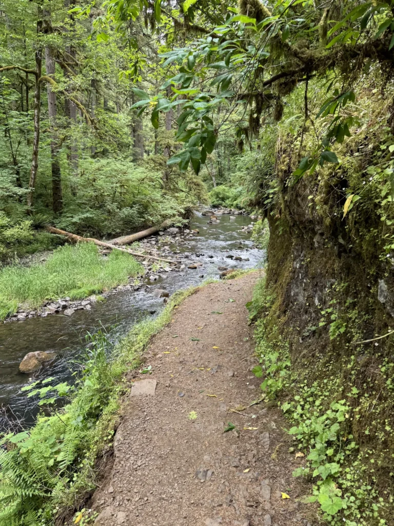 Flat path on the Trail of ten falls
