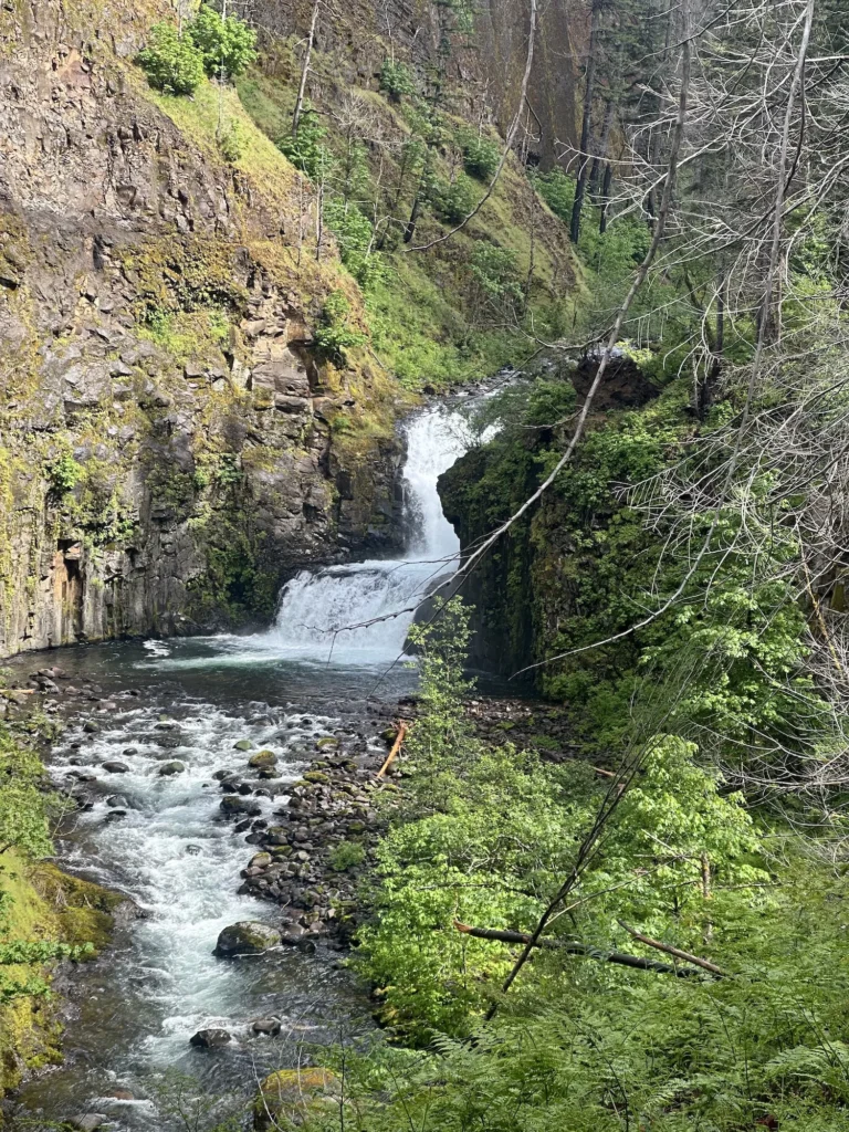 A waterfall going into creek