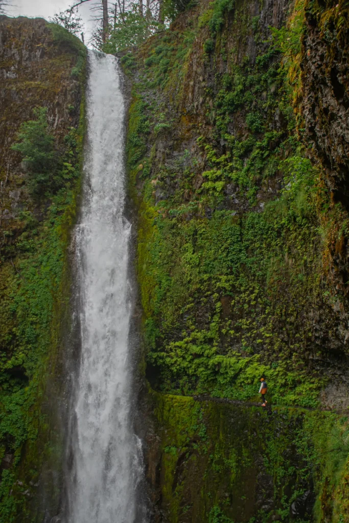 boy looking at waterfall