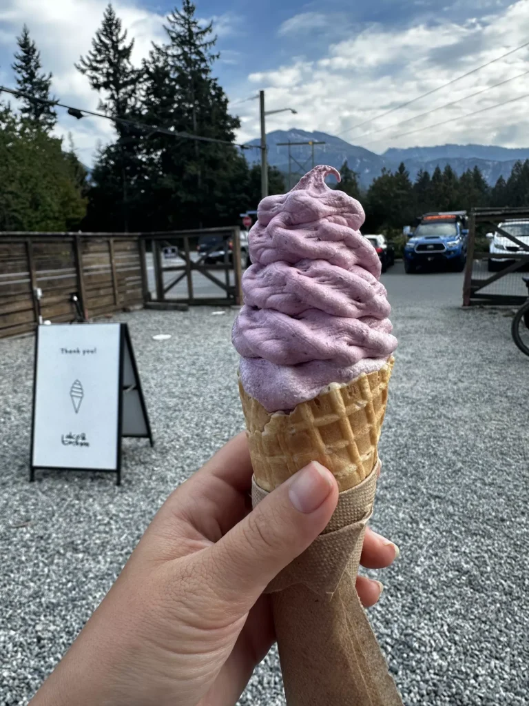 cone of berry ice cream
