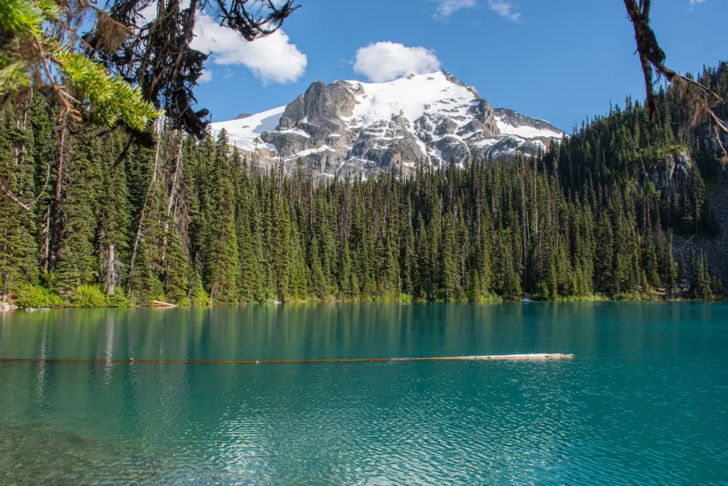 landscape of middle joffre lake