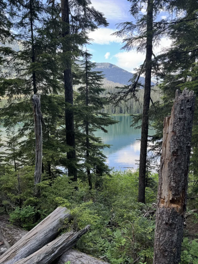 view of lower lake from woods