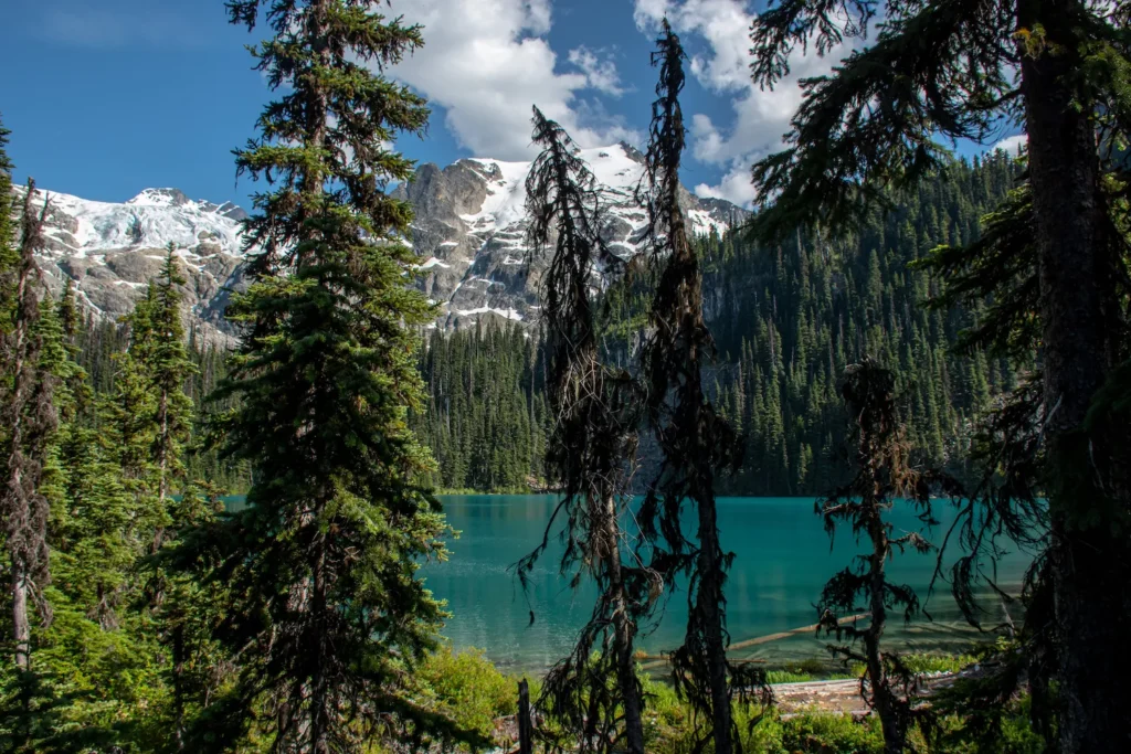 Middle Lake through the trees