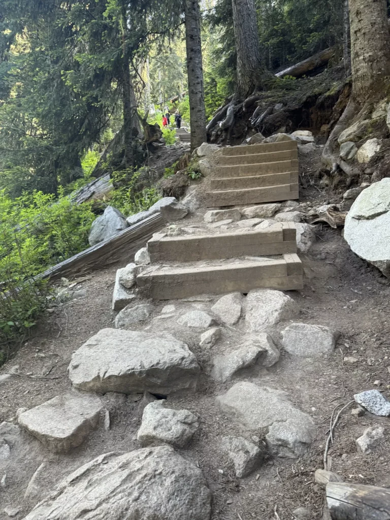 steps that lead through the woods