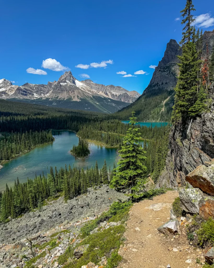 blue lakes of lake o'hara
