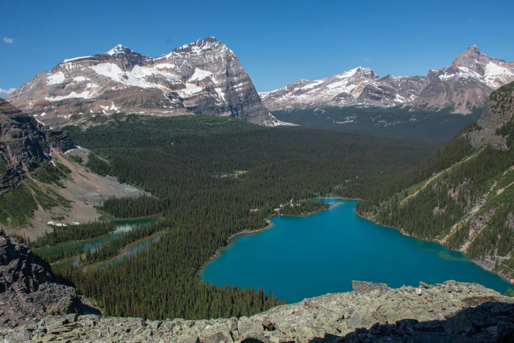 Lake o'hara from yukness ledges