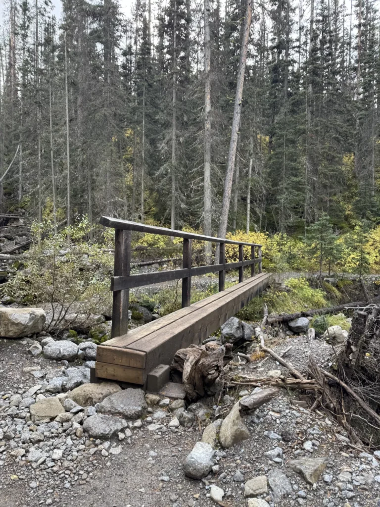 Footbridge to the woods
