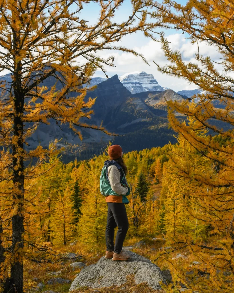 girl looking out onto larches