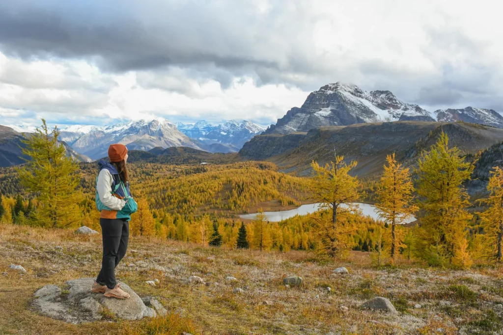 Woman looking out at larches on a rock on Healy Pass