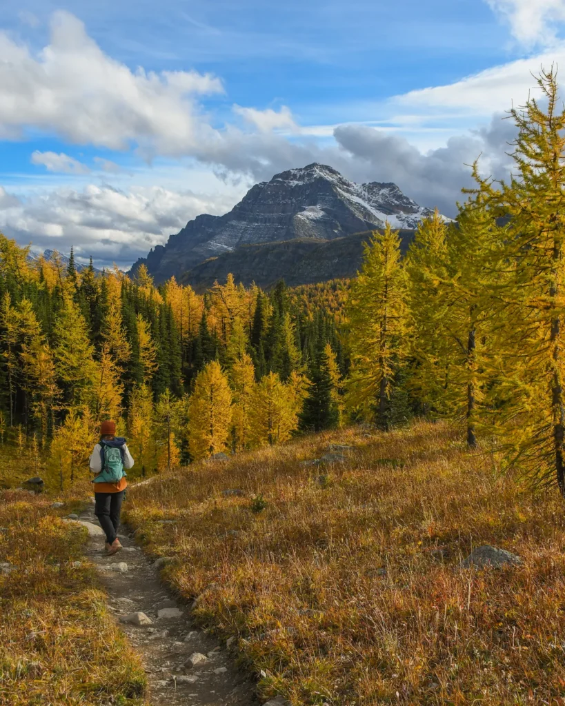 girl walking on path with larches