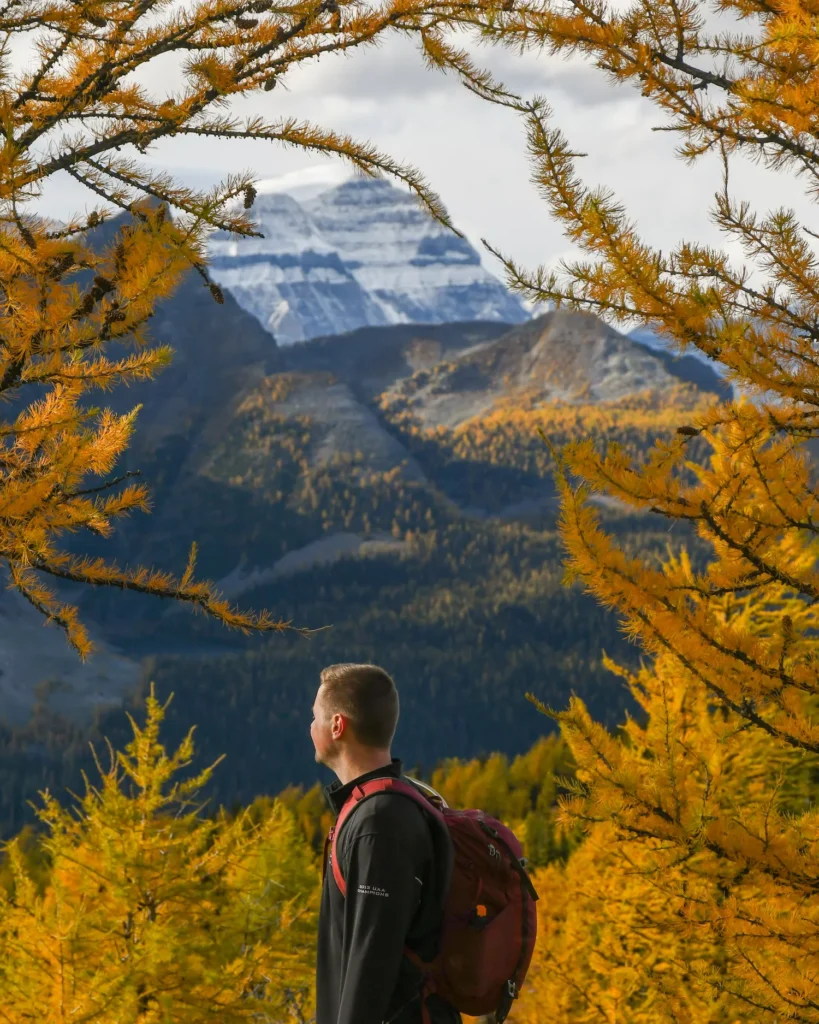 guy looking out at larches