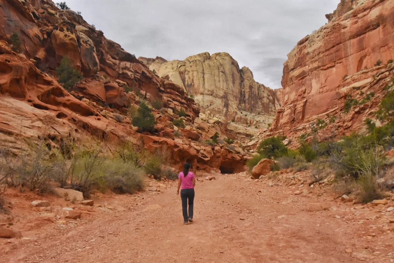 Girl walking through Capitol Reef National Park