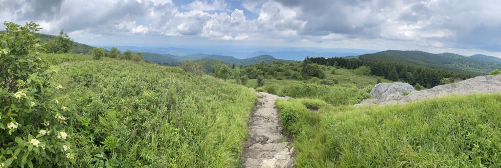 Panorama at Black Balsam Knob