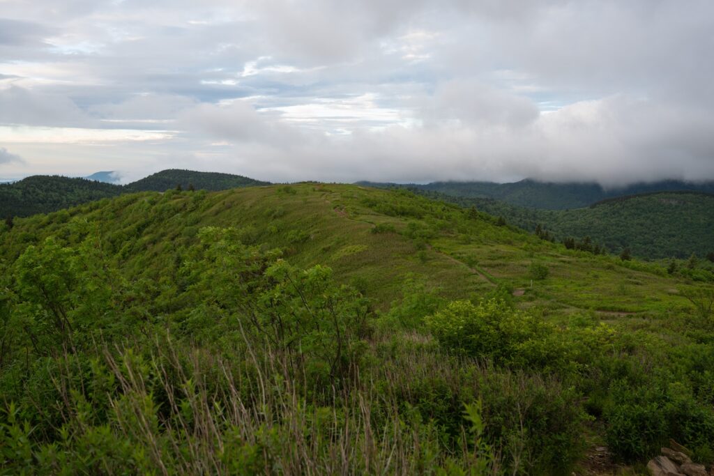 hills on black balsam knob