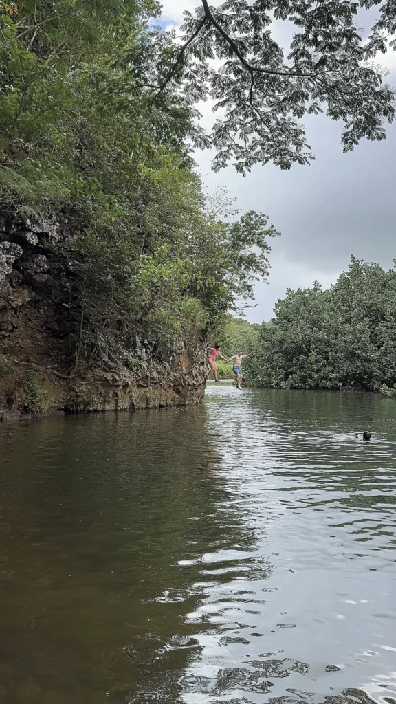 cliff jumping off the secret spot