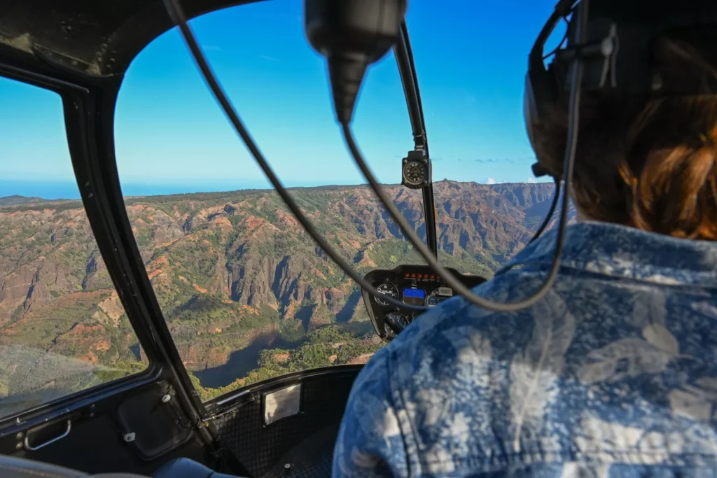 helicopter view