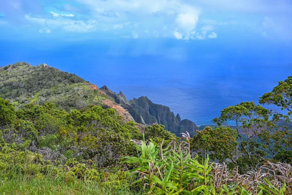 views of the ocean in Kauai at Waimea Canyon
