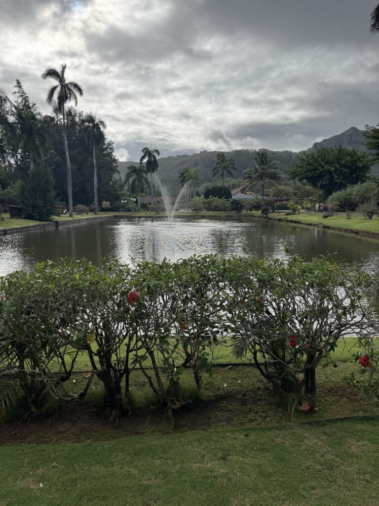 Garden at smiths garden