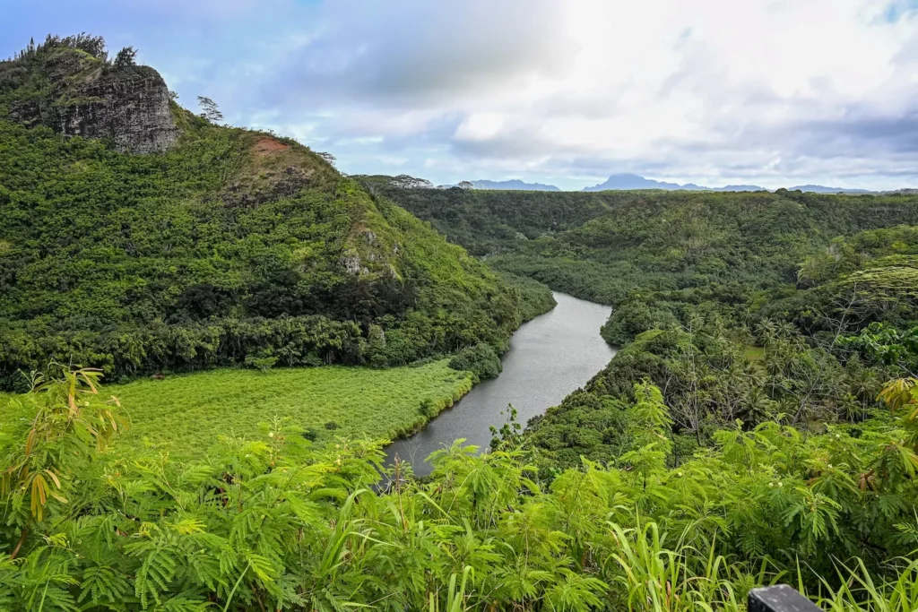 wailua river