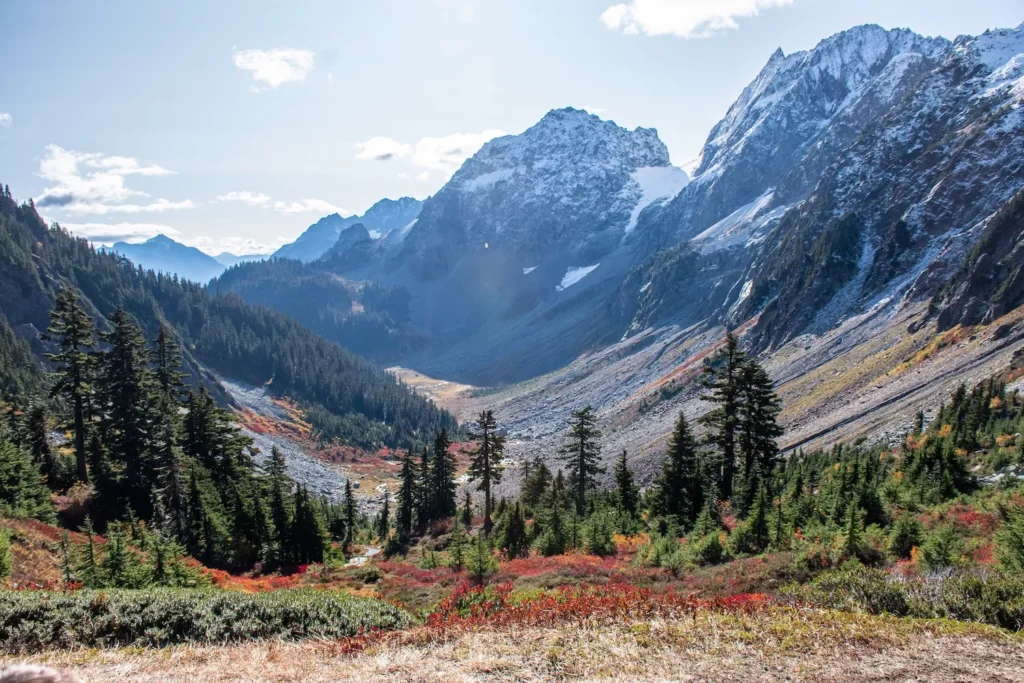gorgeous view of mountains with fall colors