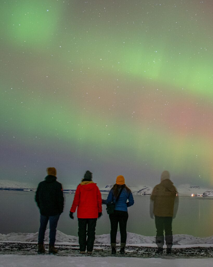 four people standing under the Northern Lights