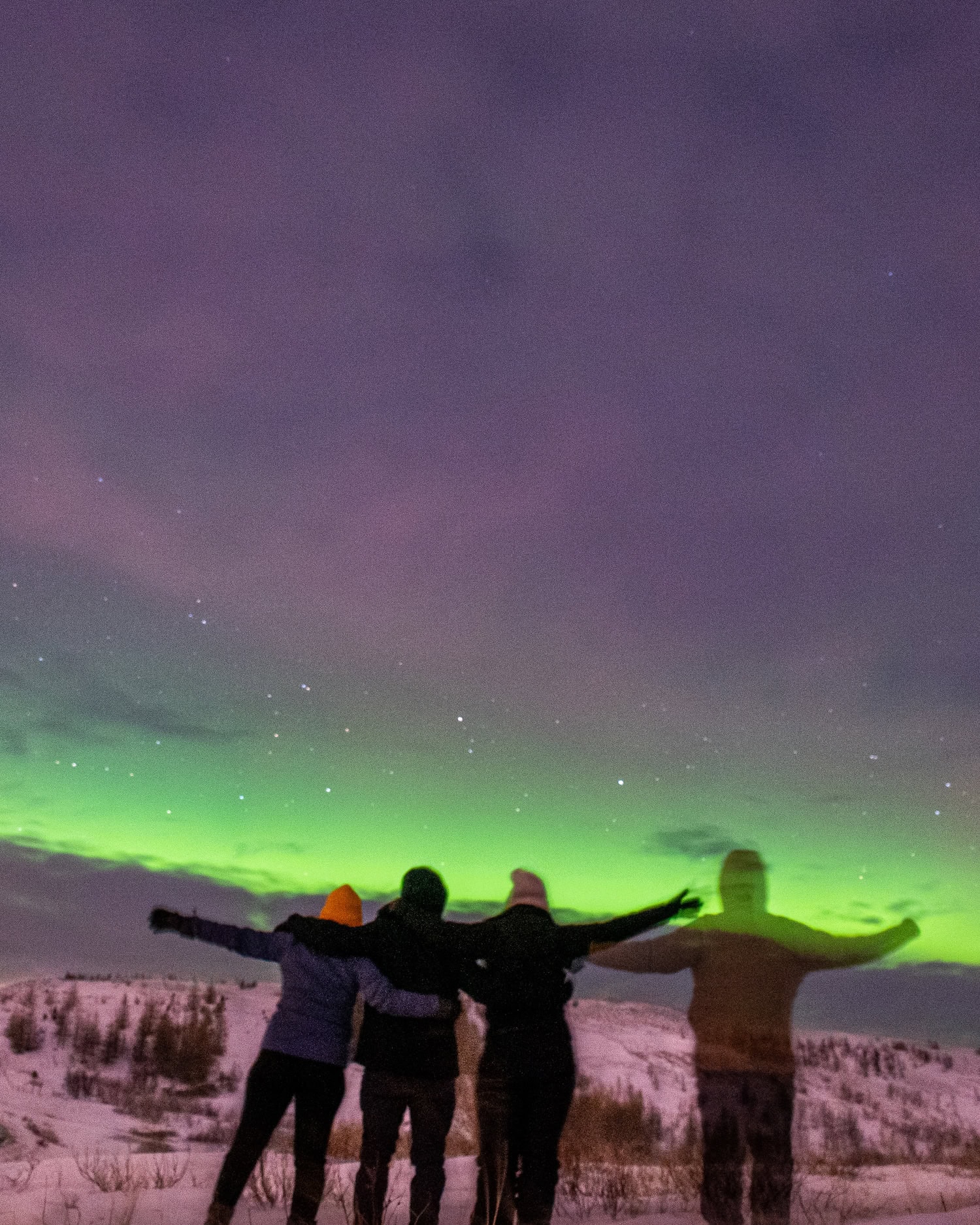 four people looking at northern lights