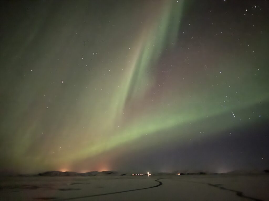 gorgeous lights of purple and green in sky