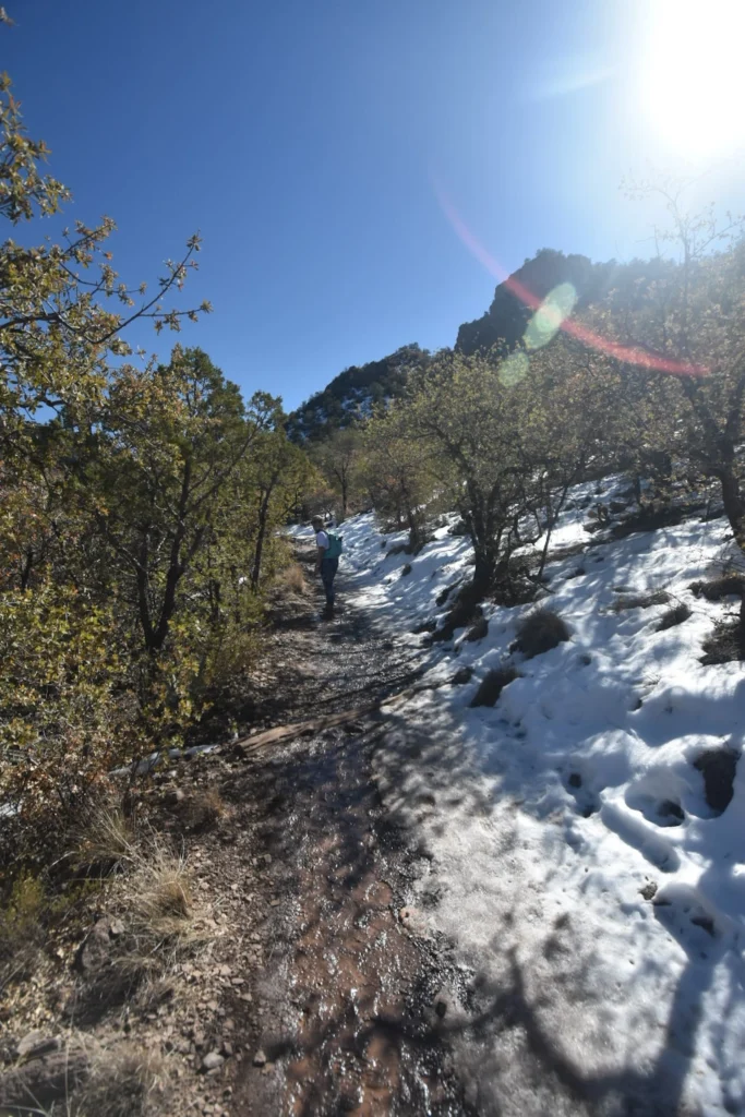 snow along the trail in big bend