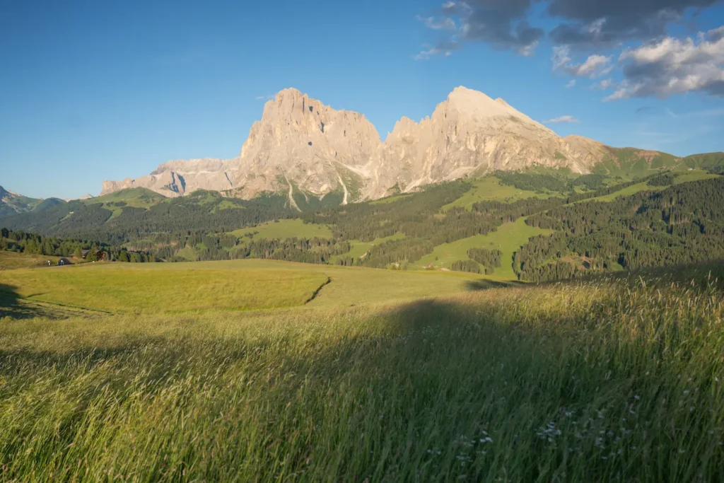Alpe di Suisi, the highest alpine meadow in europe with tall mountains overhead