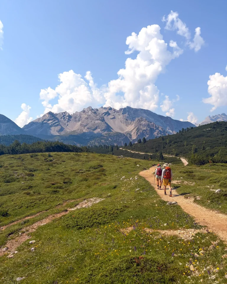 two people walking through a meadow