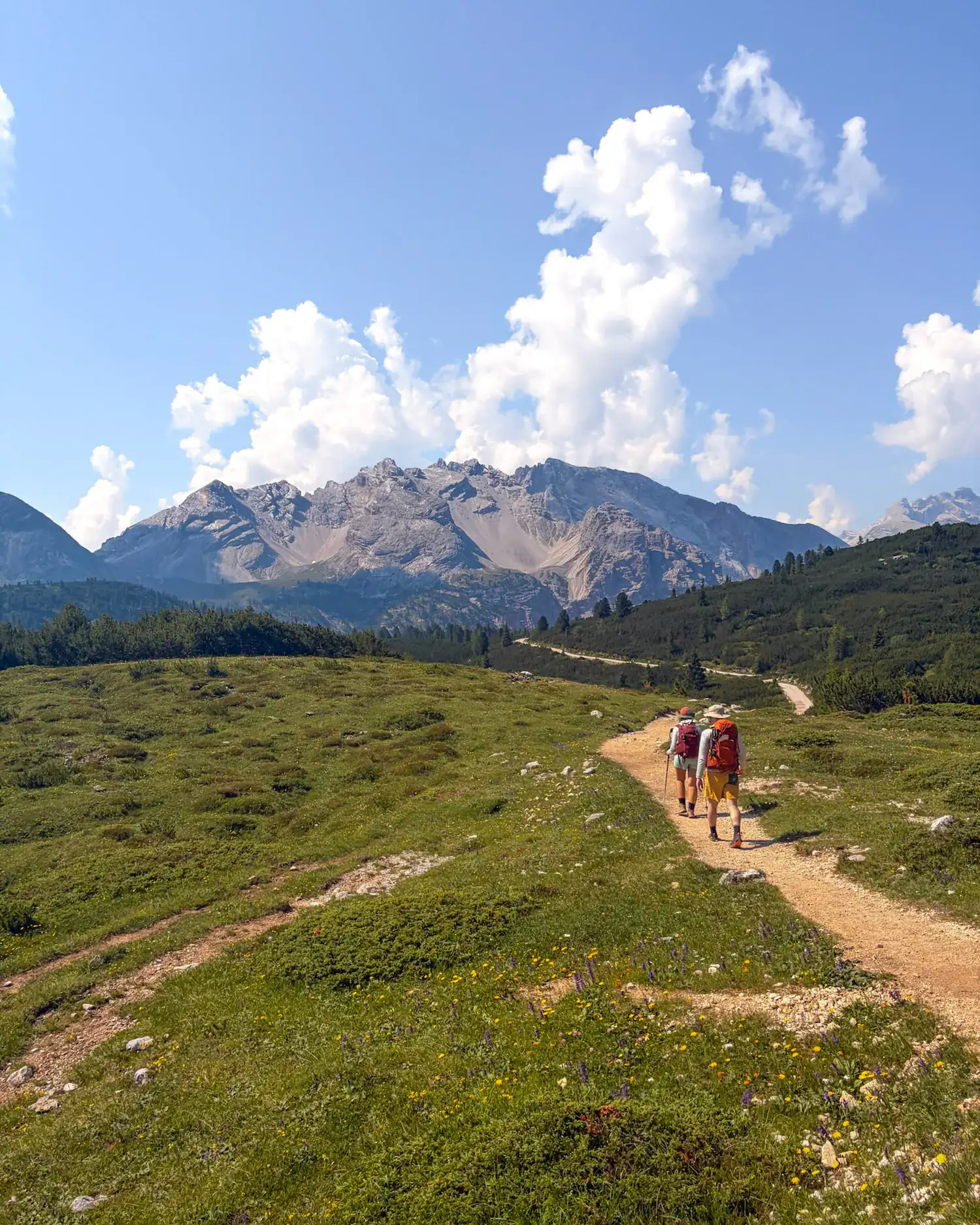 two people walking through a meadow