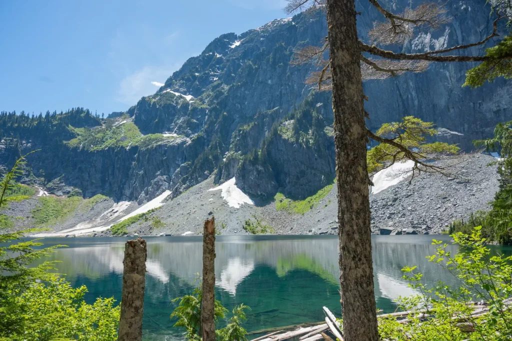 views of lake serene with some trees