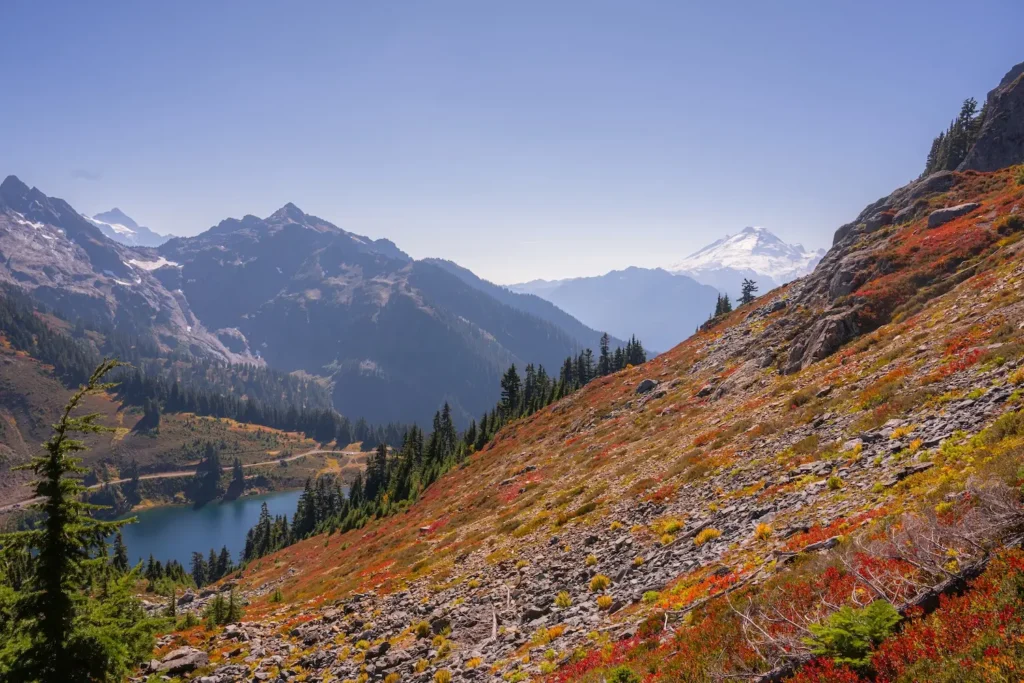 Views of Mt Baker from the trail